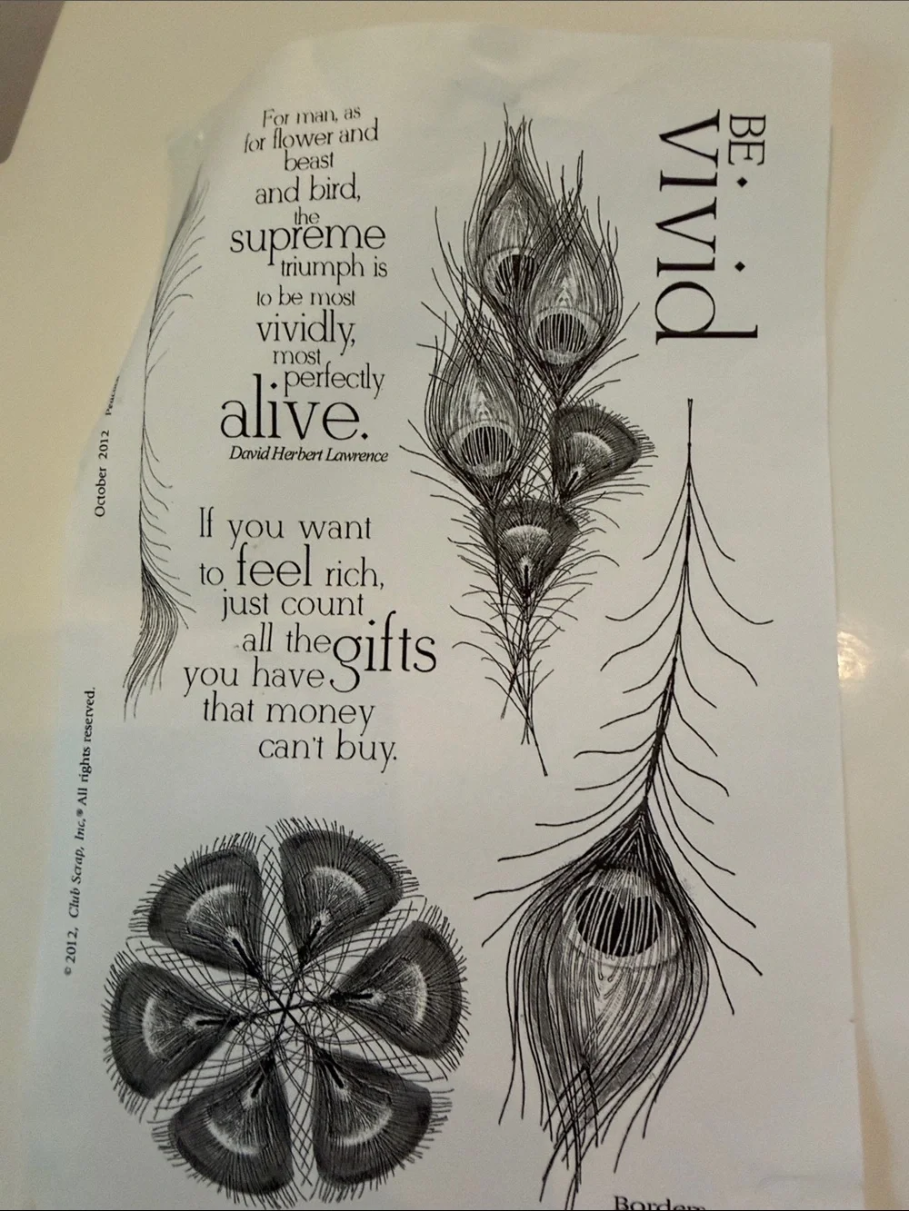 Set of 7  Peacock Feather and Script Stamps in a plastic binder by Club scrap